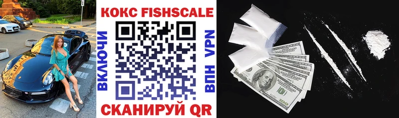 Cocaine FishScale  Купить  Плёс 