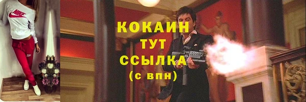 спиды Вяземский