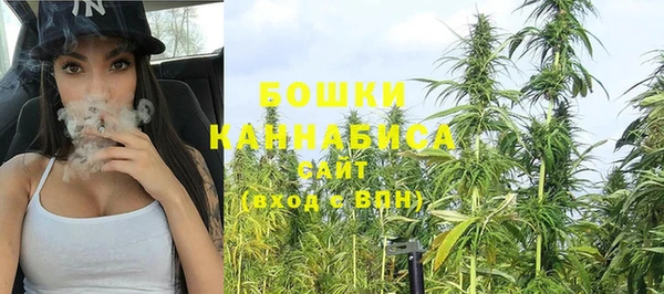 спиды Вяземский