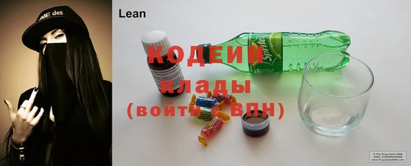 спиды Вяземский