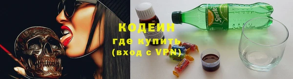 спиды Вяземский