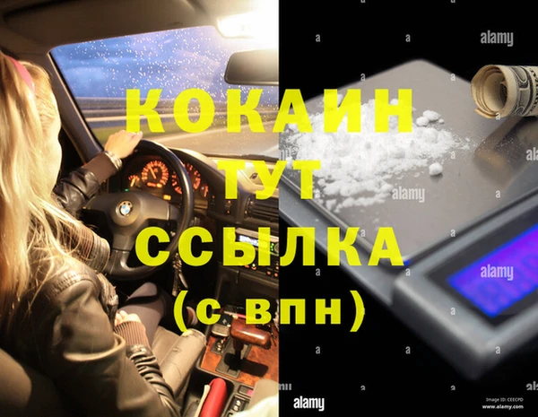 спиды Вяземский