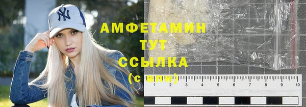 спиды Вяземский