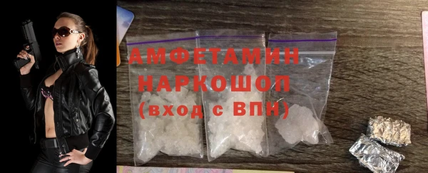 спиды Вяземский