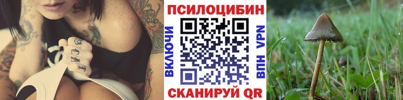 Галлюциногенные грибы MAGIC MUSHROOMS  Купить закладки  Плёс 