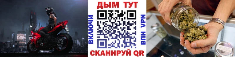 Купить где  Плёс  Канабис индика 